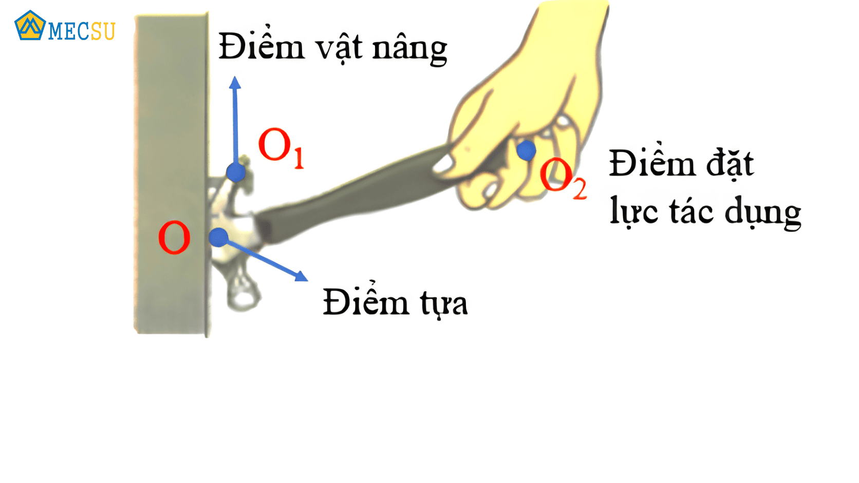 Sơ đồ minh họa nguyên lý đòn bẩy 3 bước khi nhổ đinh bằng búa claw hammer